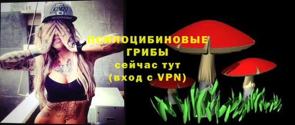 PSILOCYBIN Аркадак