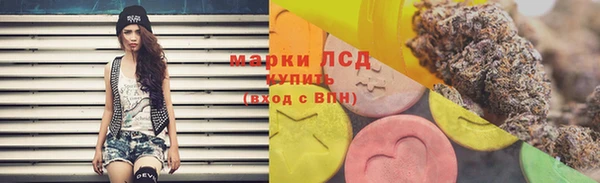 PSILOCYBIN Аркадак