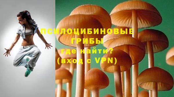 spice Армянск